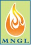 Maharashtra Natural Gas Ltd
